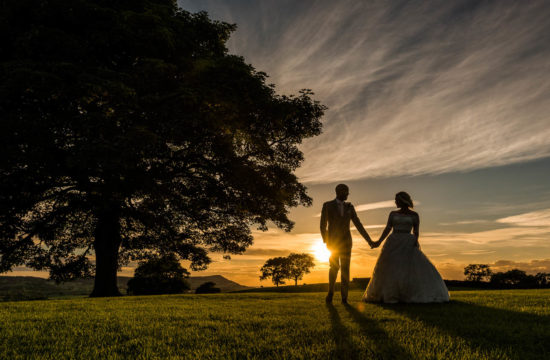 Stunning silhouette of bride and groom strolling hand in hand through a field past a big oak tree during sunset