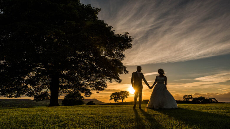 Stunning silhouette of bride and groom strolling hand in hand through a field past a big oak tree during sunset